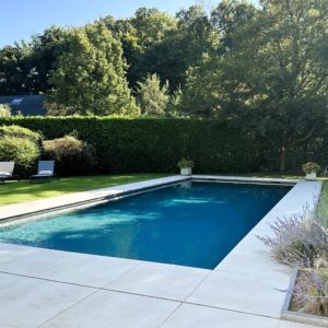 jardin-avec-piscine-et-vegetation