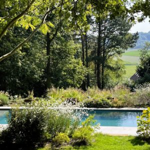 jardin-avec-vue-flowers-in-bloom