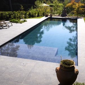 piscine-luxe-avec-jardin-exceptionnel