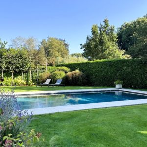 piscine-naturelle-aménagement-paysager-luxe